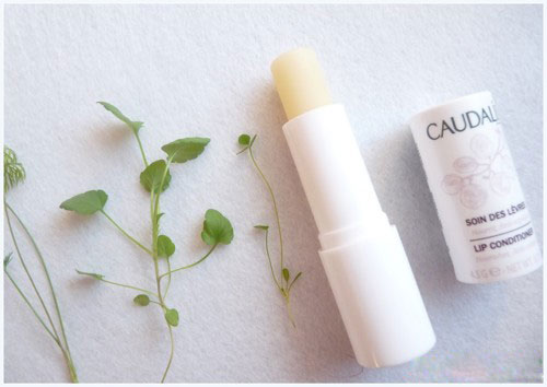 son-duong-moi-caudalie-lip-conditioner-1